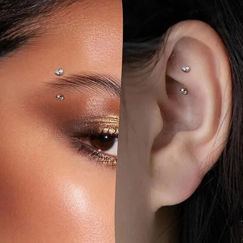 Titanium Rook Earring