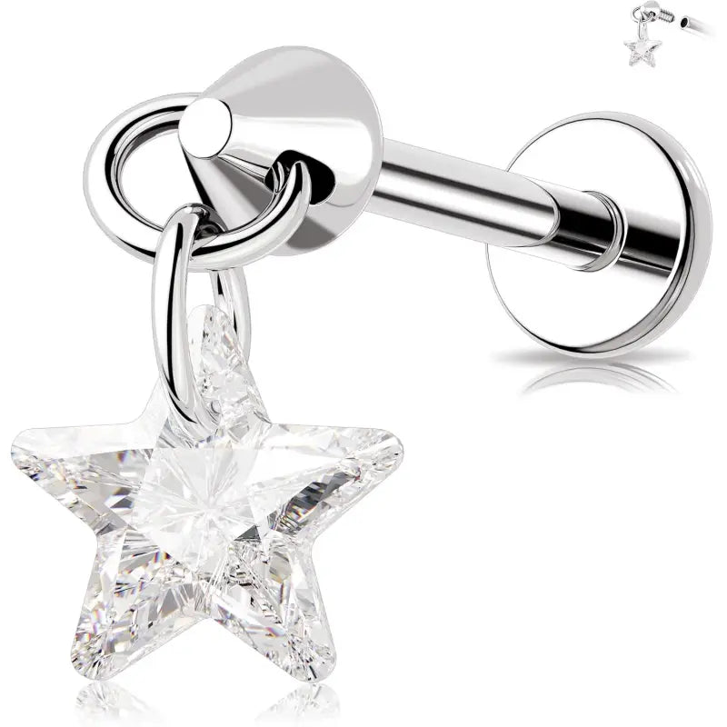 Cute and versatile titanium jewelry earrings