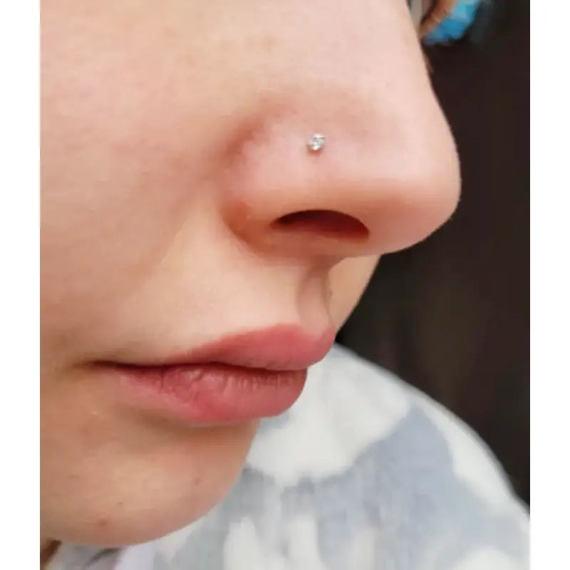 Women's fake nose ring, lip ring, earrings six styles set