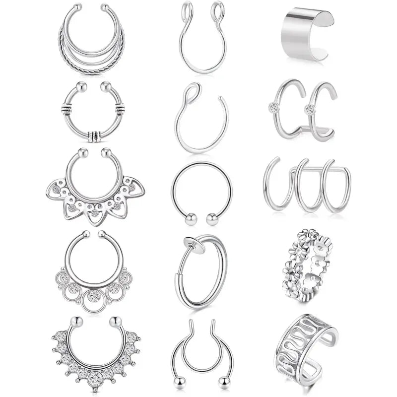 Women's fake nose ring, lip ring, earrings six styles set