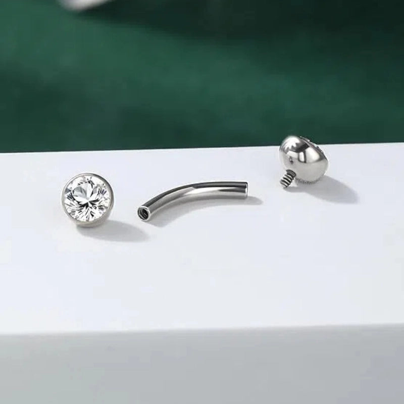 Titanium Rook Earring