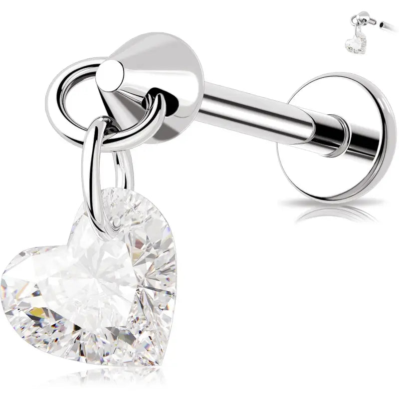 Cute and versatile titanium jewelry earrings