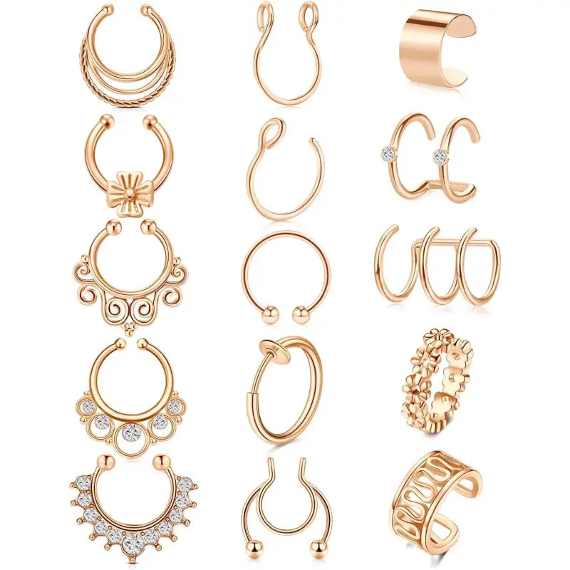 Women's fake nose ring, lip ring, earrings six styles set