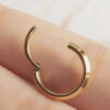Titanium Septum Rings