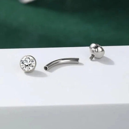 Titanium Rook Earring