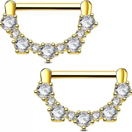 2pcs 14G Cap Nipple Rings in 316 Medical Steel