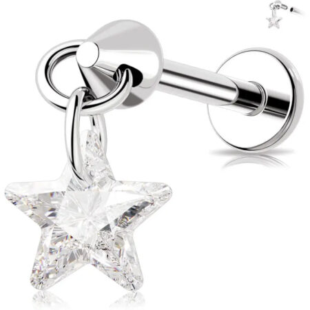 Cute and versatile titanium jewelry earrings
