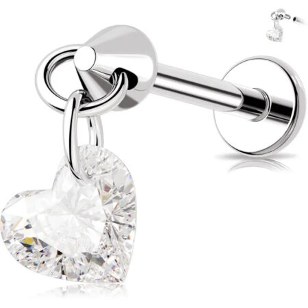 Cute and versatile titanium jewelry earrings