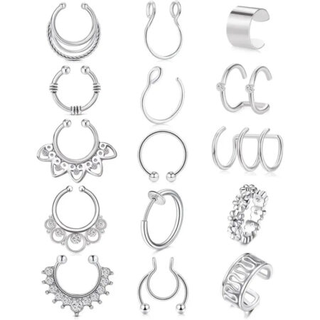Women's fake nose ring, lip ring, earrings six styles set